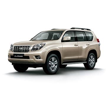 SUV / Jeep